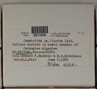 Image Associated With the Occurence